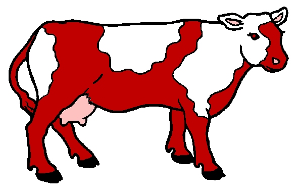 Cow10.jpg